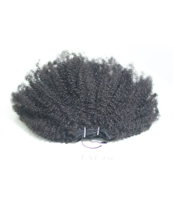 Kinky Curly Weft